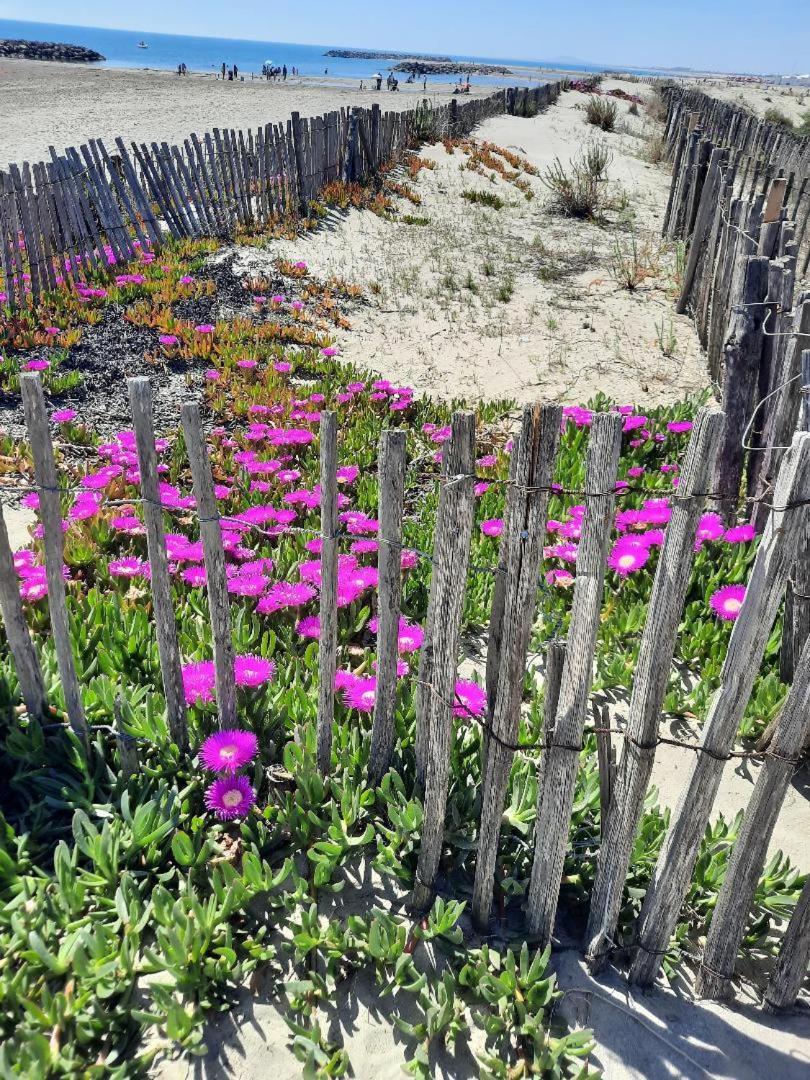 Maison A Marseillan Plage Εξωτερικό φωτογραφία